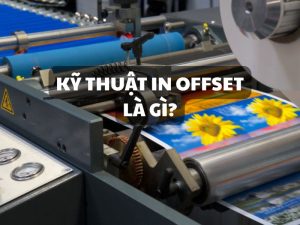 In offset là gì?