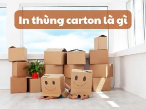 In thùng carton là gì?