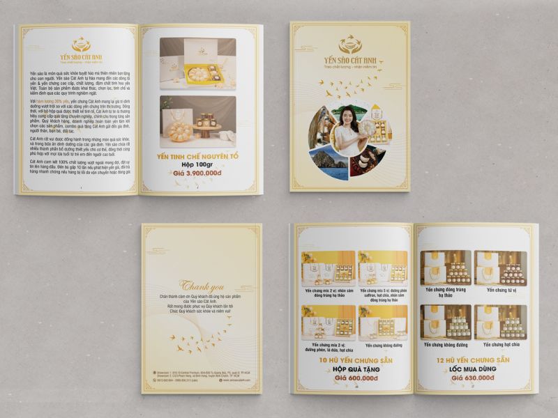 Mẫu catalogue yến sào đẹp