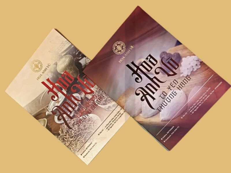 Thiết kế catalogue yến sào cao cấp