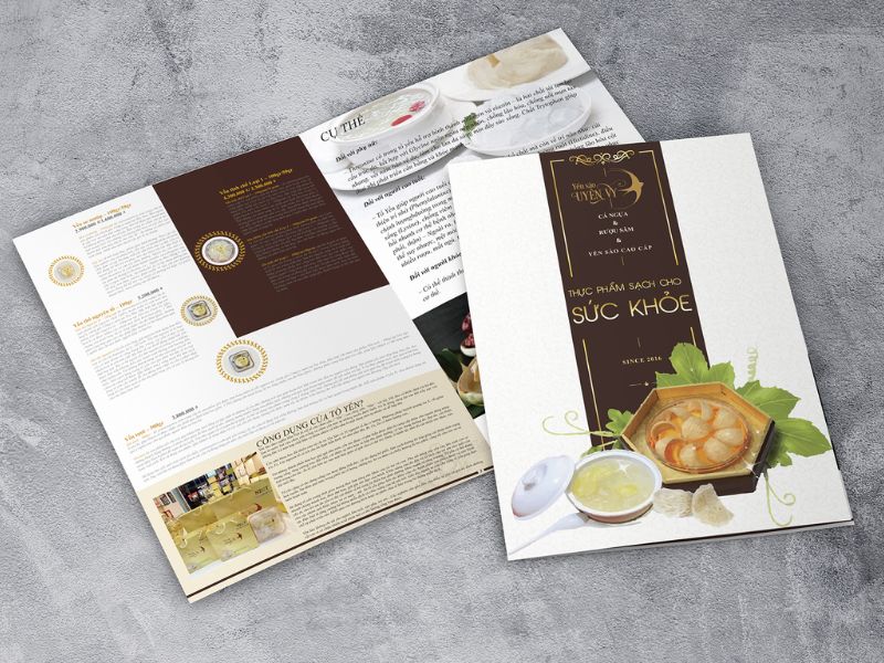Layout catalogue yến sào hiện đại
